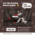 Cat Boxing Teaser Toy promotional banner