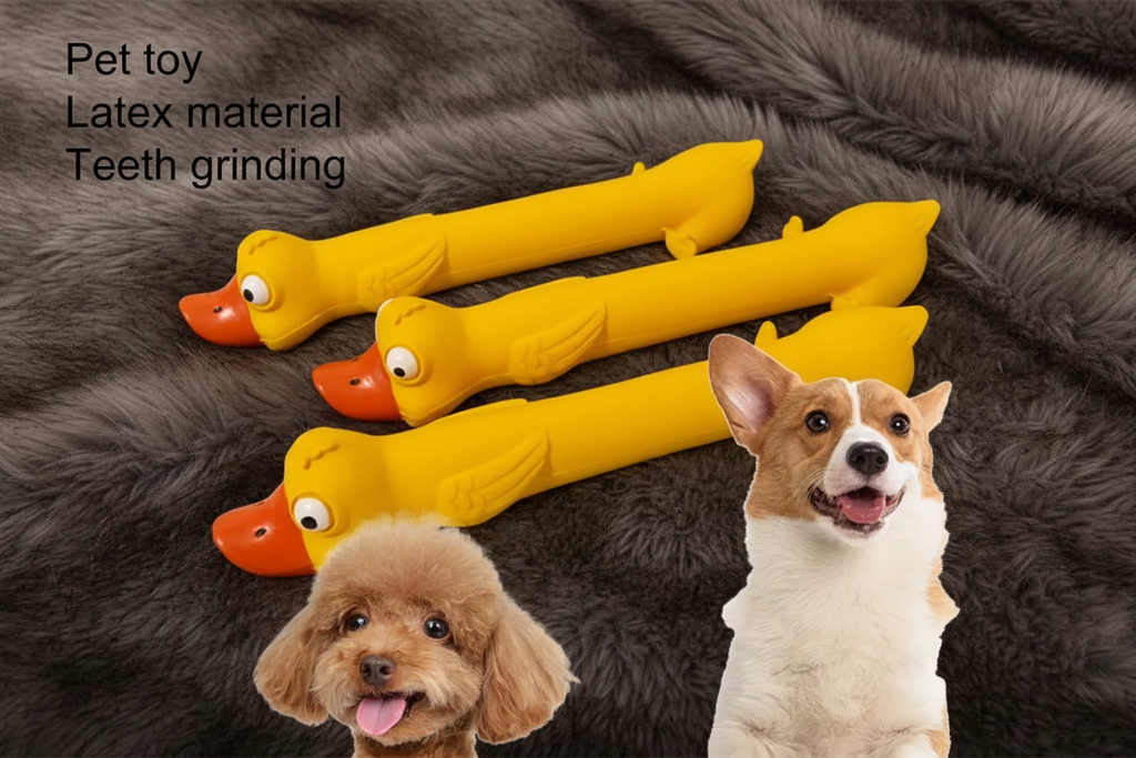 Two dogs with three yellow duck toys feature shot