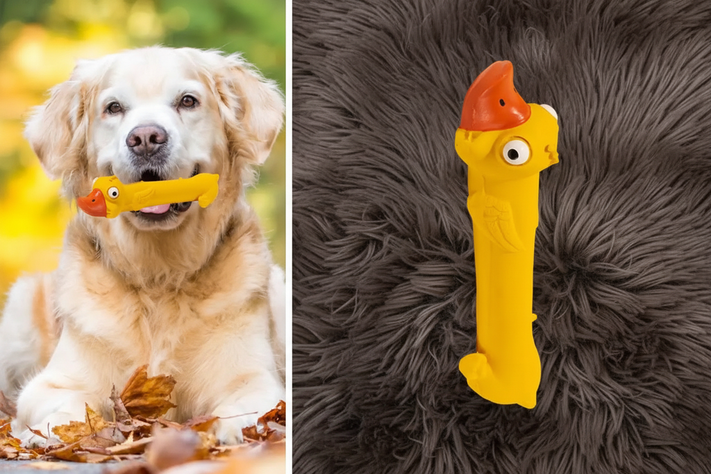 Split lifestyle and hero duck toy shot