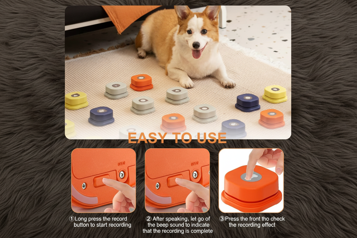 Easy to use step-by-step infographic