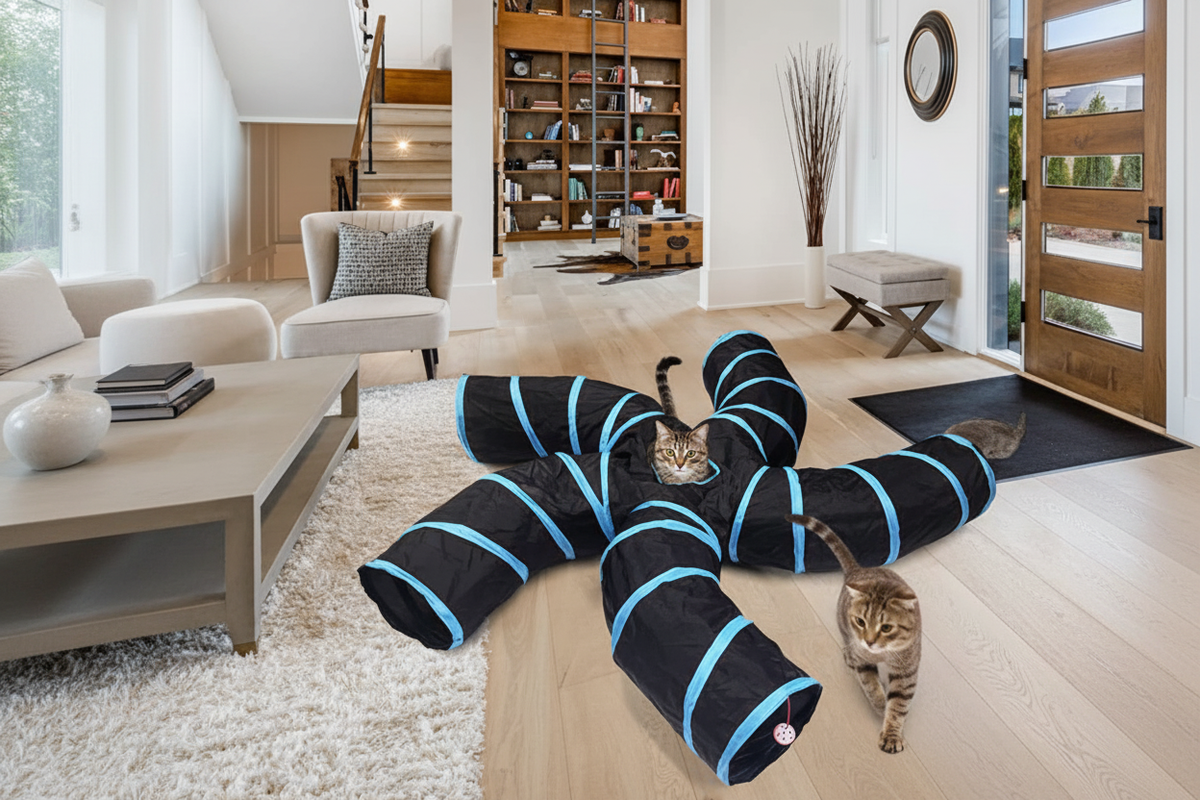 Three cats playing in 5-channel tunnel maze in modern living room