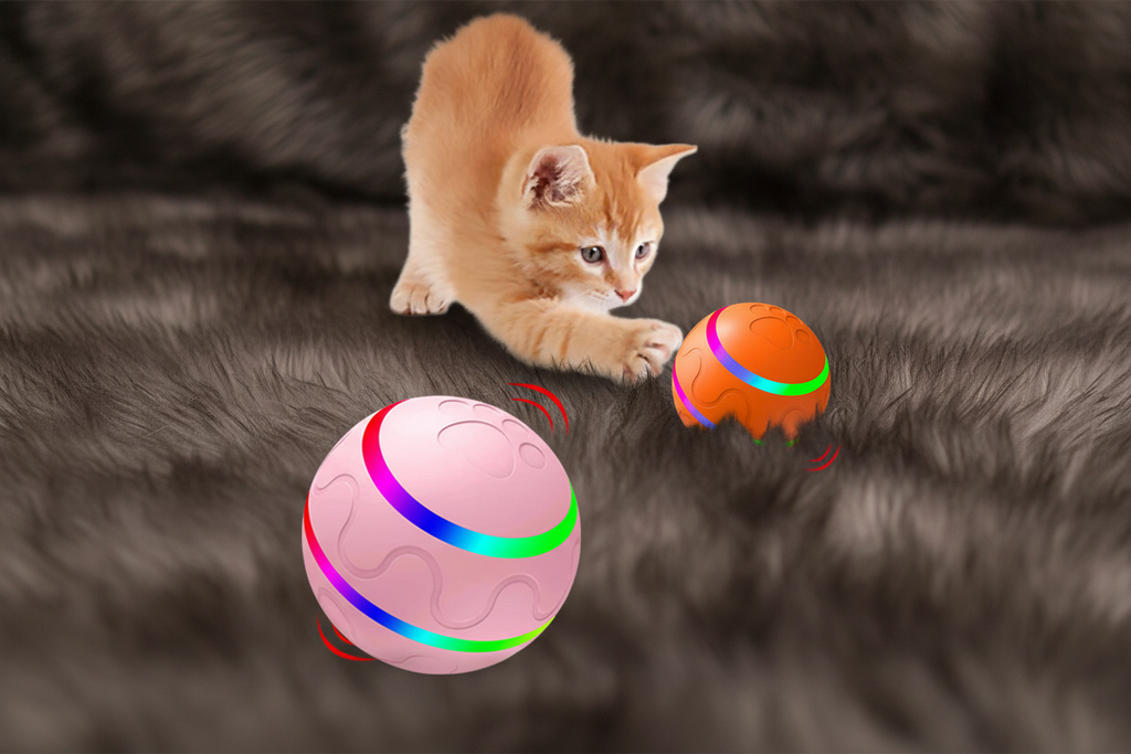 Kitten swiping at spinning balls
