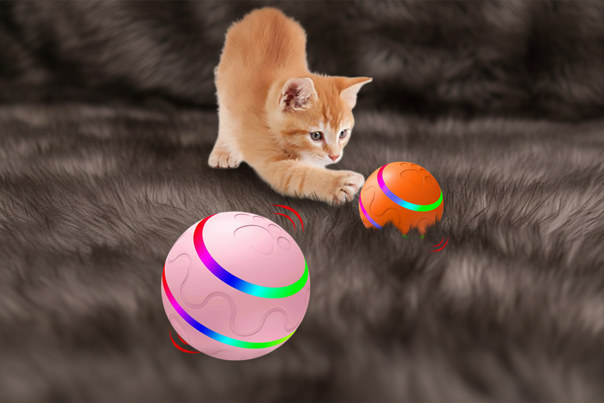 Kitten swiping at spinning balls